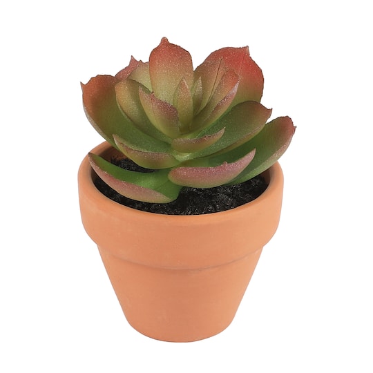 6 Packs: 6 ct. (36 total) Mini Premade Succulents in Terra Cotta Pots by Ashland®